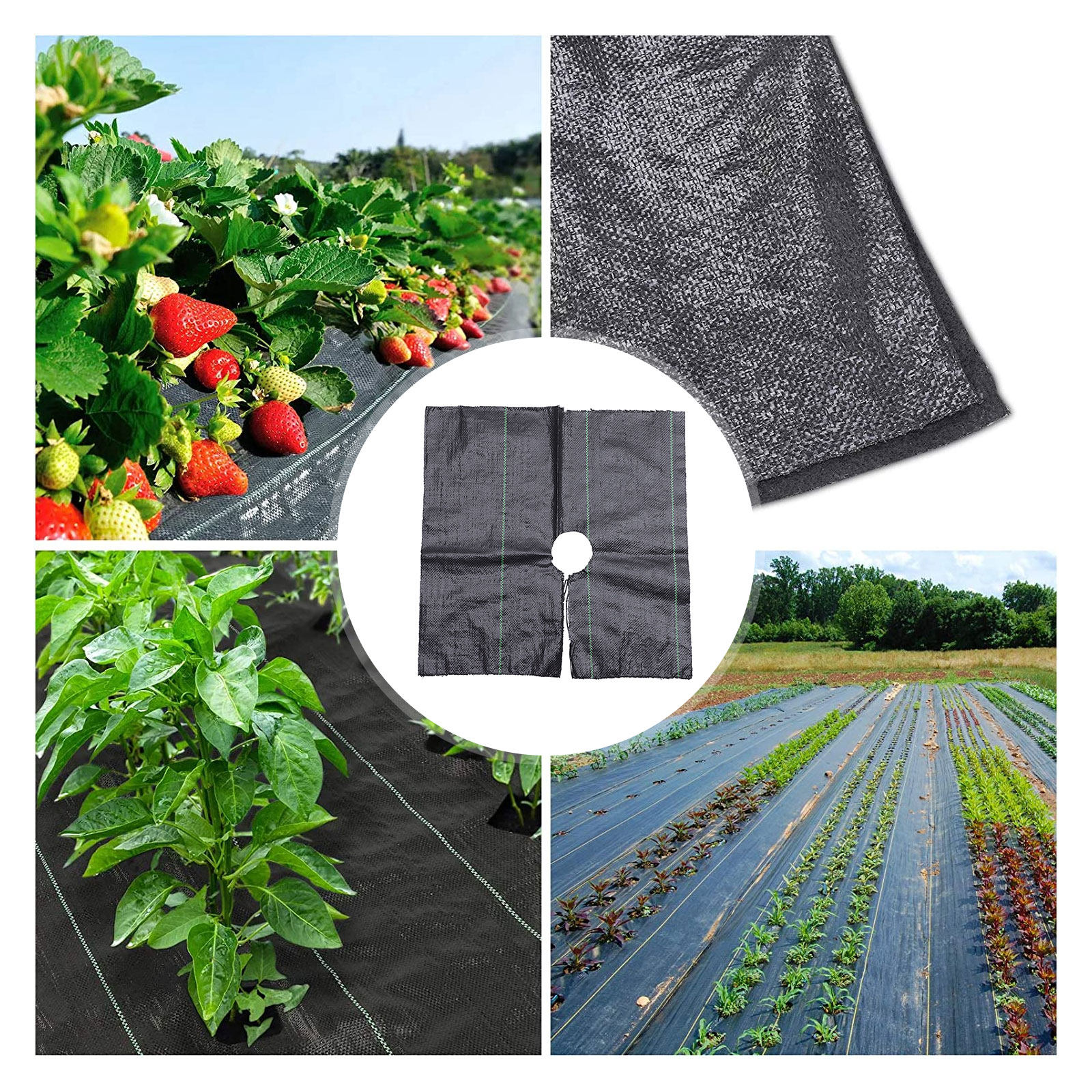 Agriculture Gardening Farming - Garden Weeding Cloth Strong PP Weed