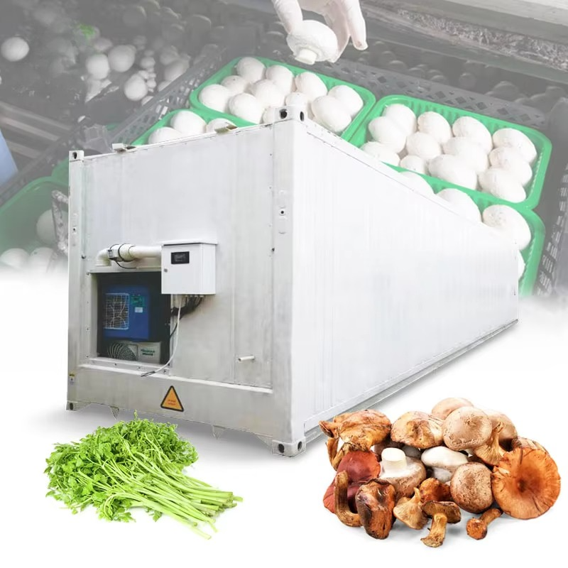 Hydroponic Farming Agriculture - Customized 20ft 40ft Container Farm, Hydroponic