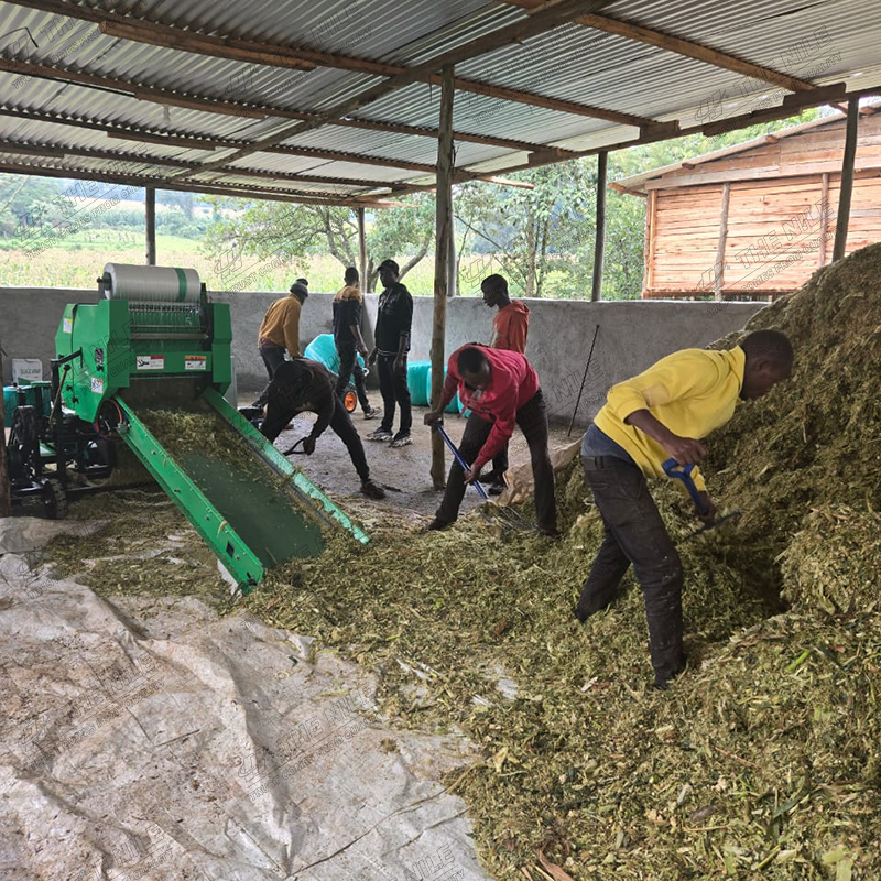 China Corn Silage Grass Harves - Silage Baler Machine reseña y precio