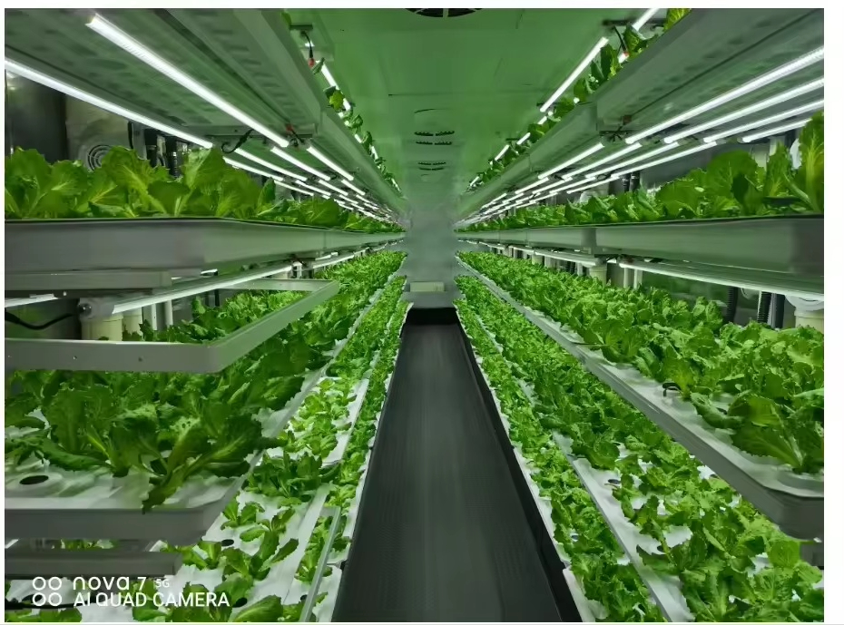 Vertical Farm Hydroponic Tower - Hydroponic Farming Agriculture reseña y precio