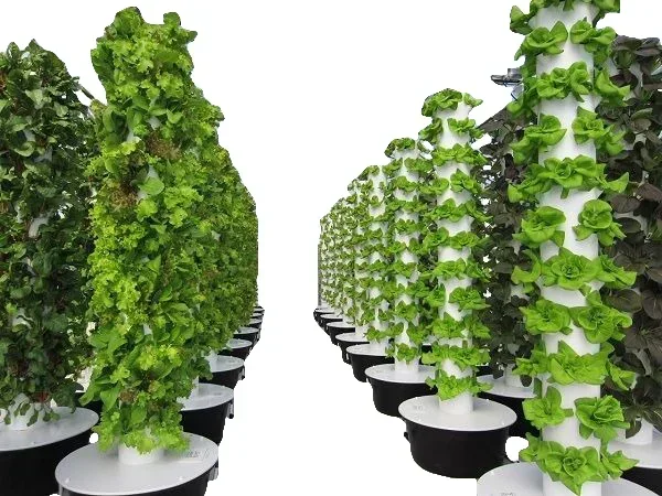 Agricultural greenhouses verti - Hydroponic Farming Agriculture reseña y precio