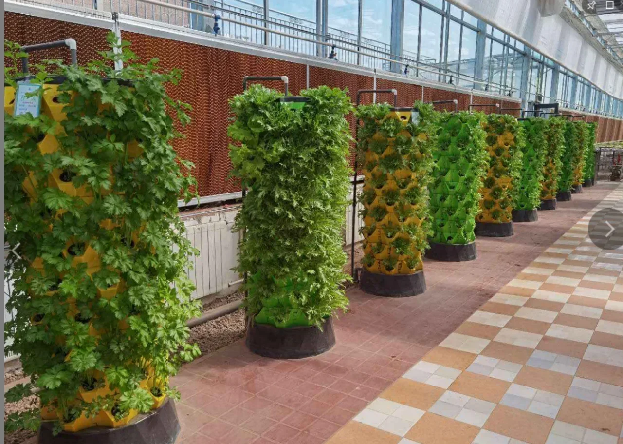 Agricultural greenhouses verti - Hydroponic Farming Agriculture reseña y precio