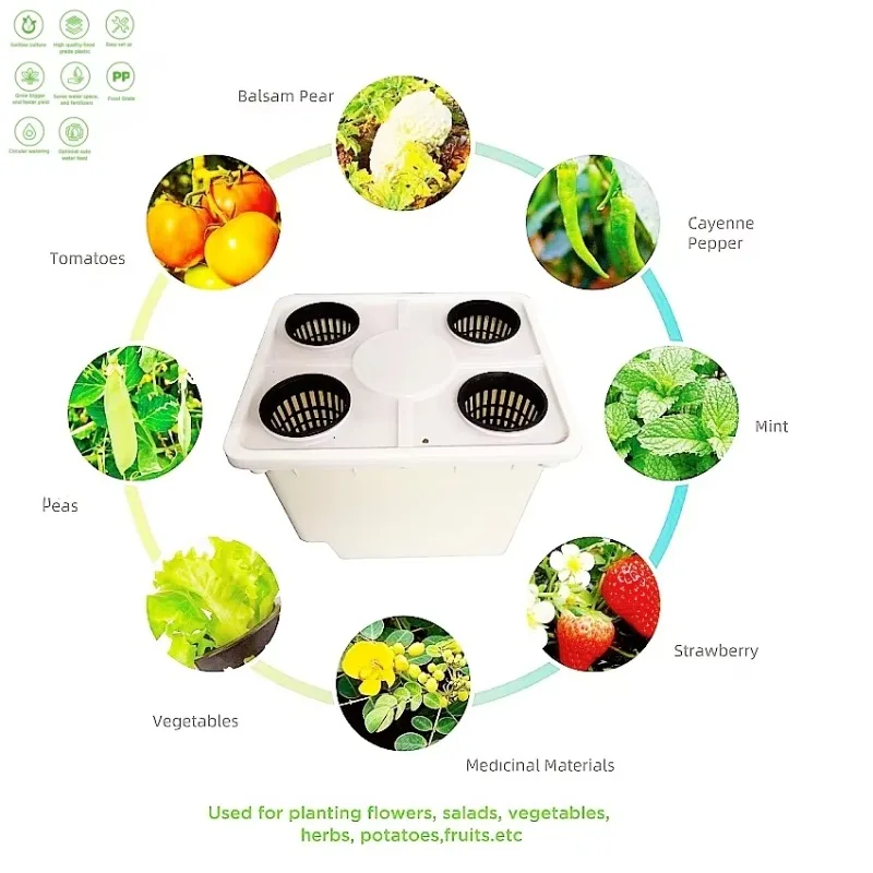 2 Holes 4 Holes Agricultural H - Hydroponic Farming Agriculture reseña y precio