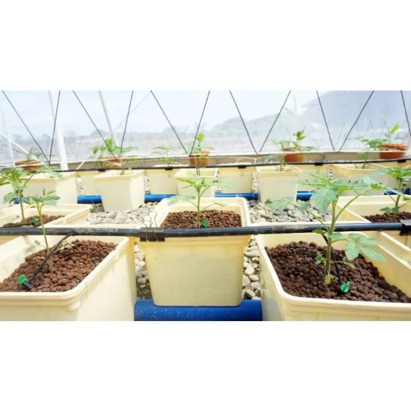 2 Holes 4 Holes Agricultural H - Hydroponic Farming Agriculture reseña y precio