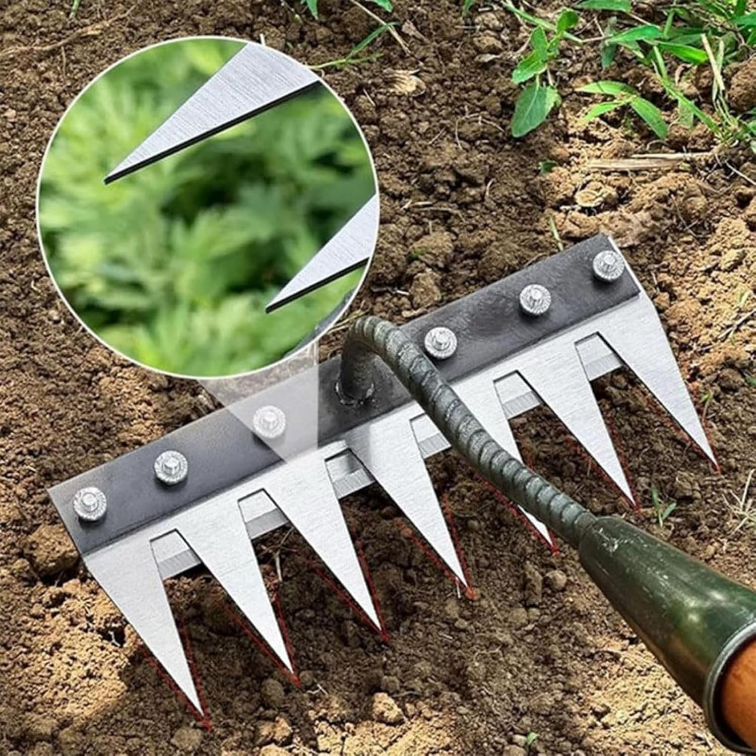 5/6/7/8 Teeth Metal Rake Garde - Agriculture Farming Hand Tools reseña y precio