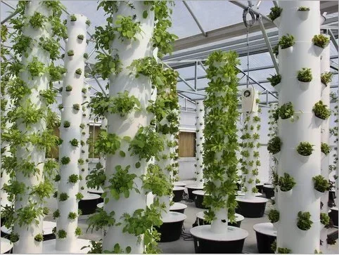 High quality agricultural home - Hydroponic Farming Agriculture reseña y precio