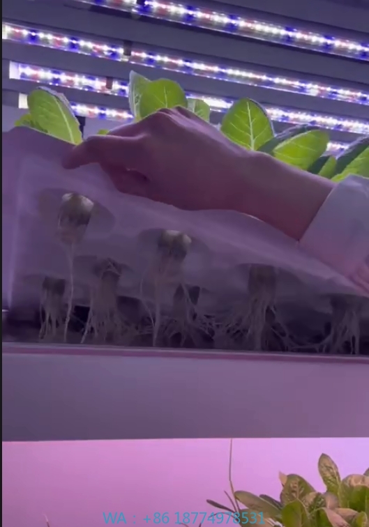 f Greenhouse Agricultural Equi - Hydroponic Farming Agriculture reseña y precio