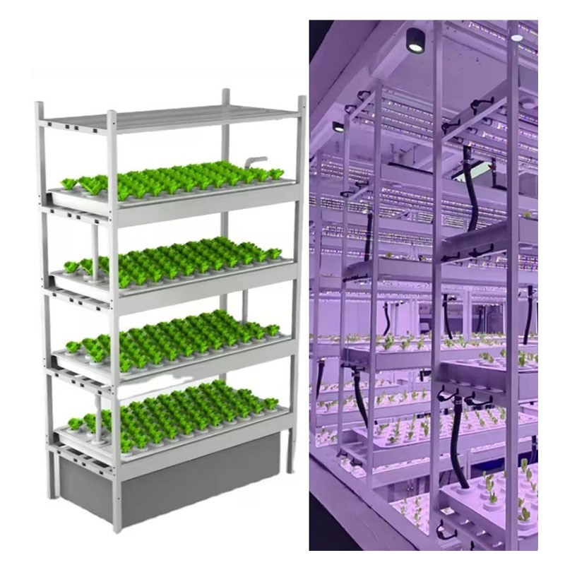 f Greenhouse Agricultural Equi - Hydroponic Farming Agriculture reseña y precio