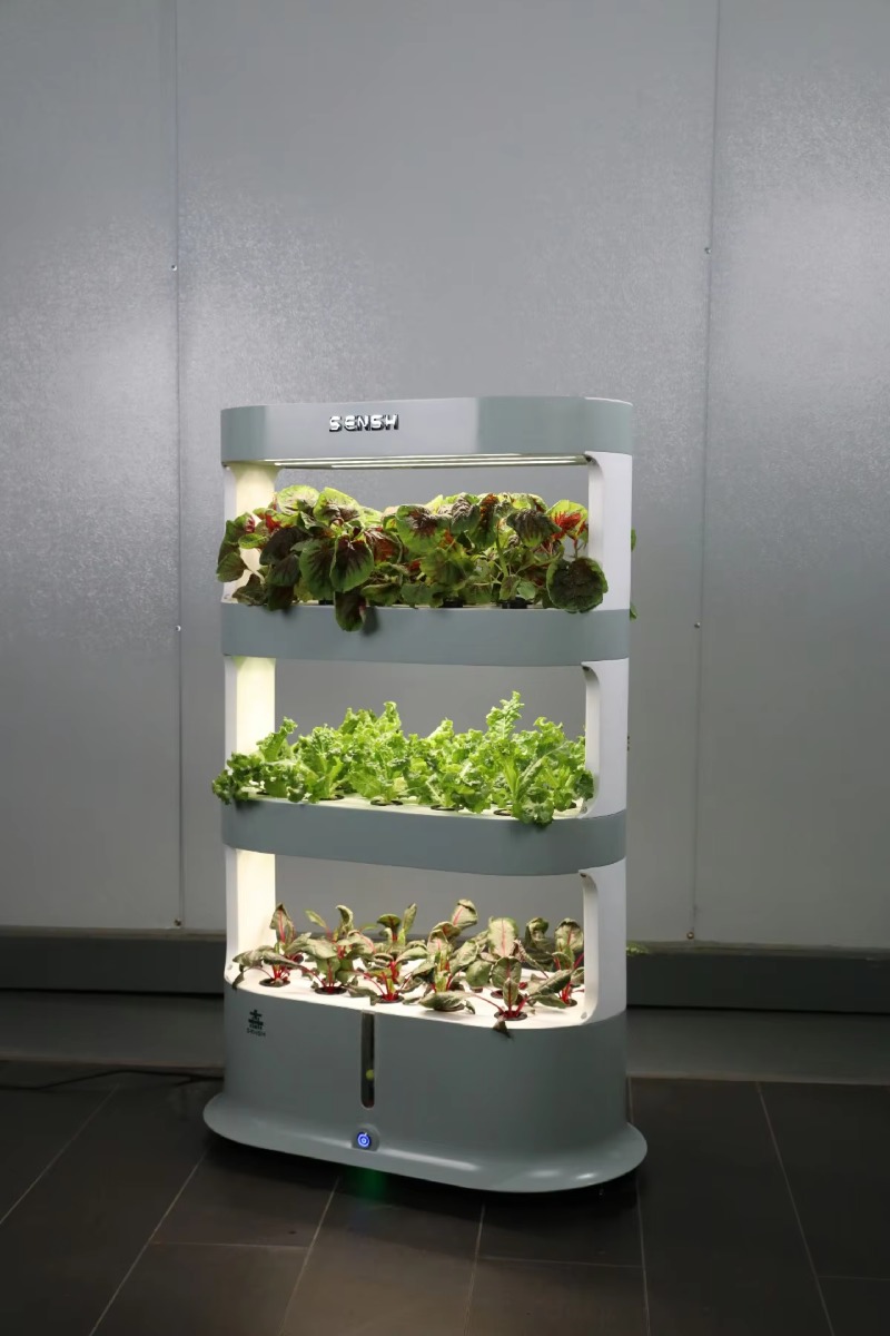 Factory Wholesale Unique Farm  - Hydroponic Farming Agriculture reseña y precio