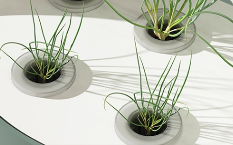 China Quality Agricultural Int - Hydroponic Farming Agriculture reseña y precio