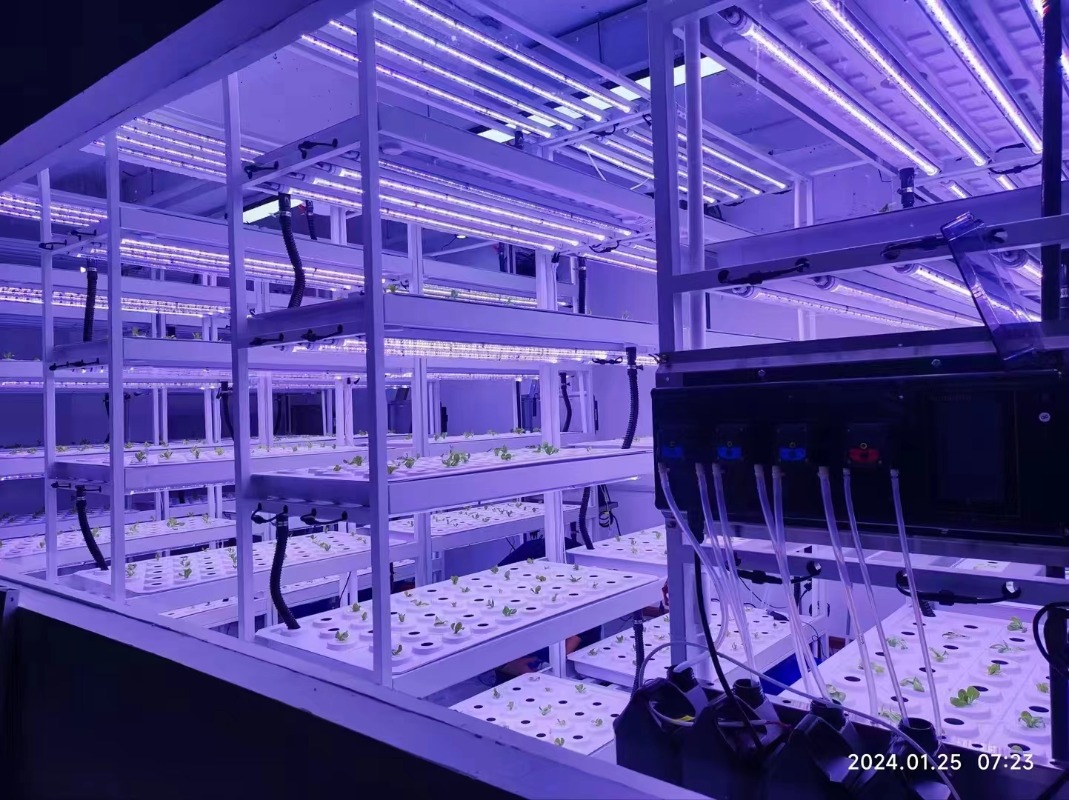 Small Vertical Hydroponic Towe - Hydroponic Farming Agriculture reseña y precio