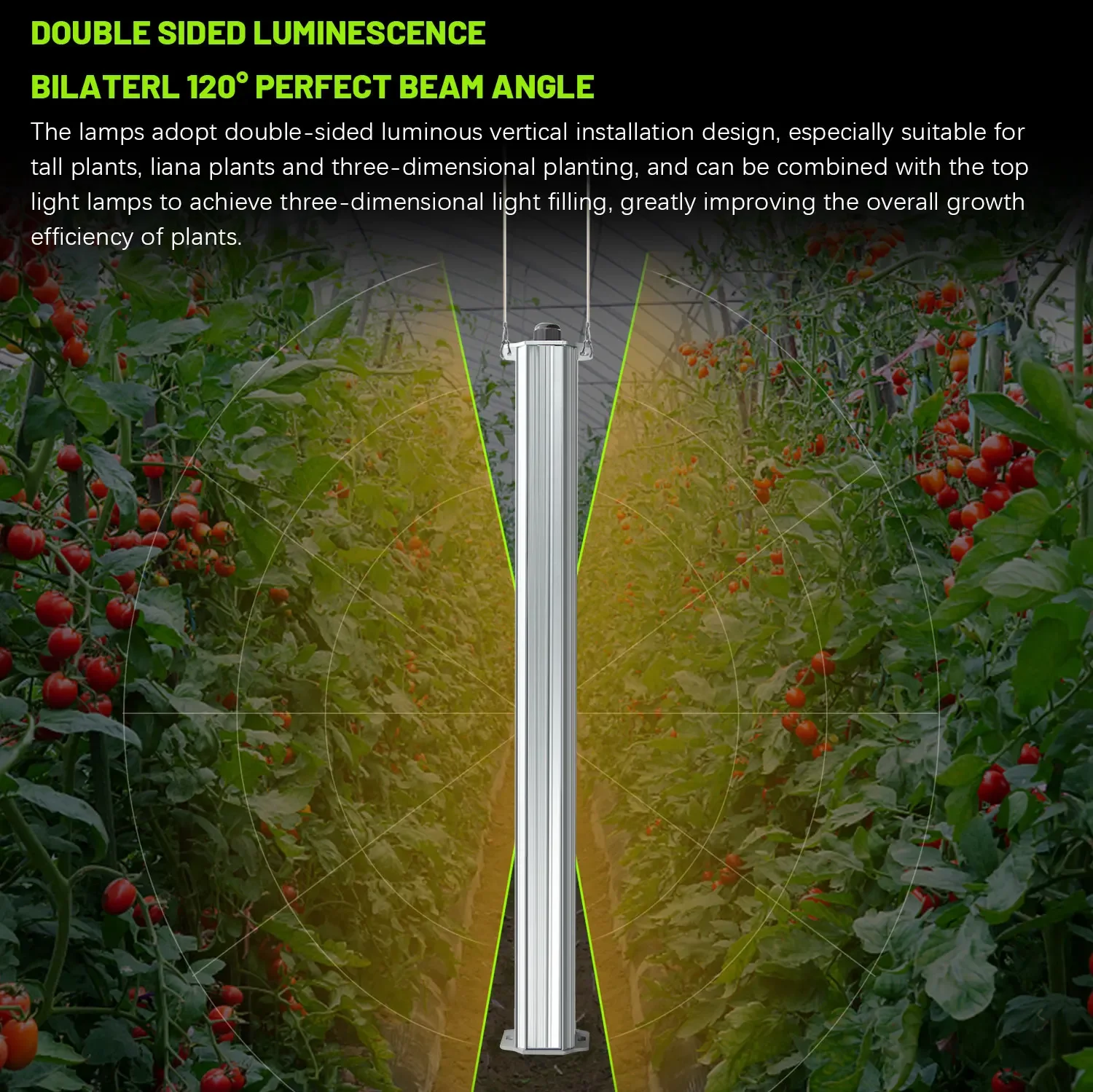 Best ETL Listed Plant Green Wa - Hydroponic Farming Agriculture reseña y precio
