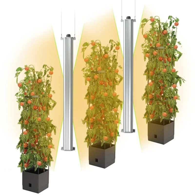 Best ETL Listed Plant Green Wa - Hydroponic Farming Agriculture reseña y precio