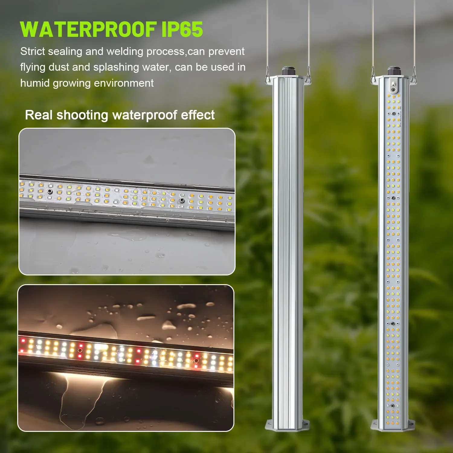 Best ETL Listed Plant Green Wa - Hydroponic Farming Agriculture reseña y precio