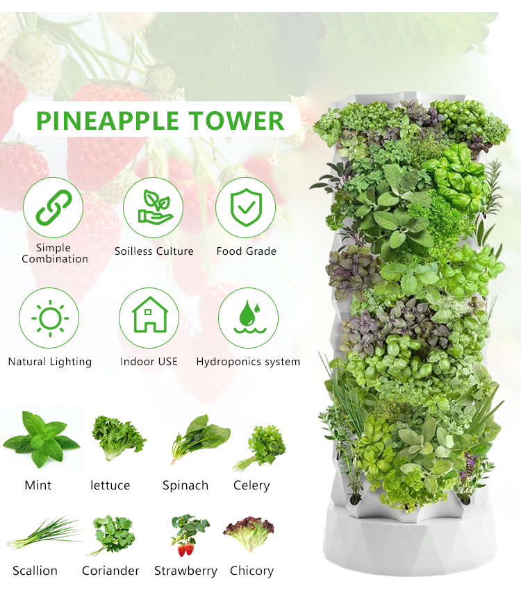 Upgraded Indoor Farming Outdoo - Hydroponic Farming Agriculture reseña y precio