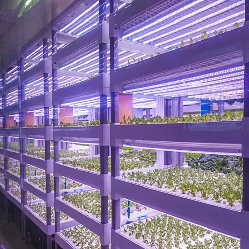 Custom Agricultural Greenhouse - Hydroponic Farming Agriculture reseña y precio