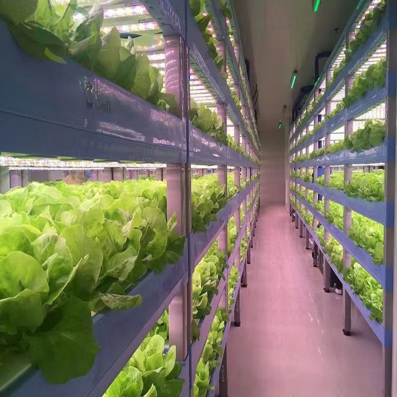 Custom Agricultural Greenhouse - Hydroponic Farming Agriculture reseña y precio