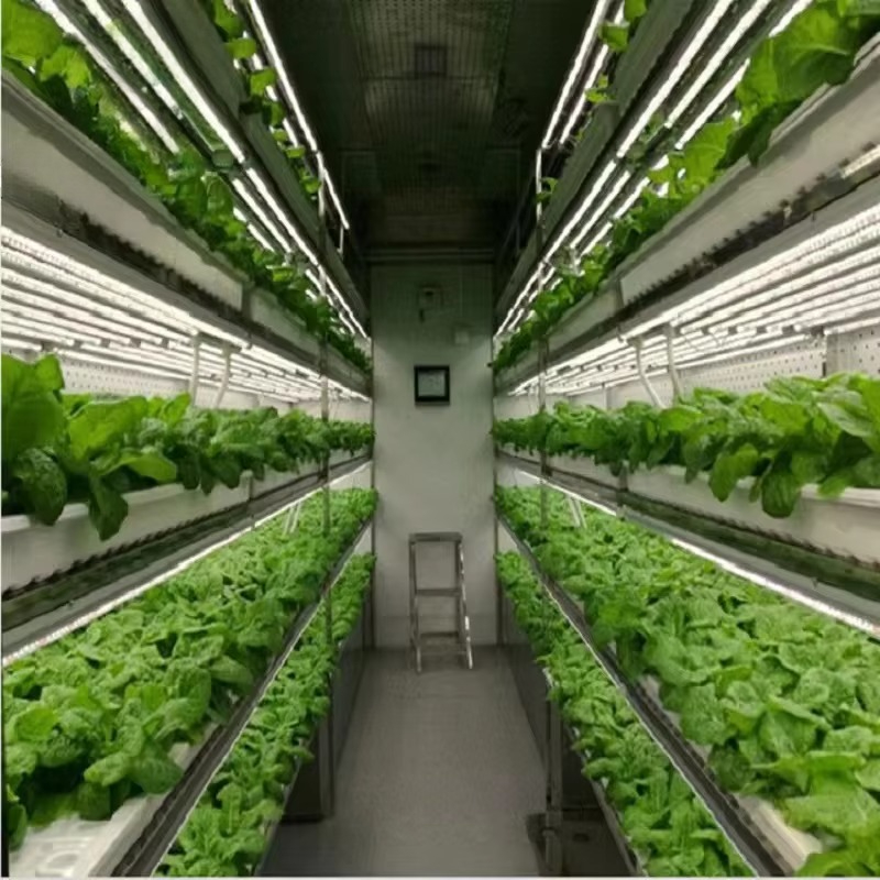 Custom Agricultural Greenhouse - Hydroponic Farming Agriculture reseña y precio