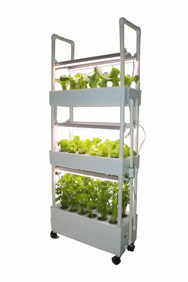 Customization Agriculture hydr - Hydroponic Farming Agriculture reseña y precio