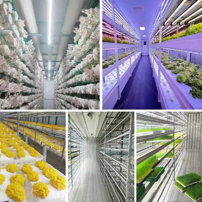 Customized 20ft 40ft Container - Hydroponic Farming Agriculture reseña y precio