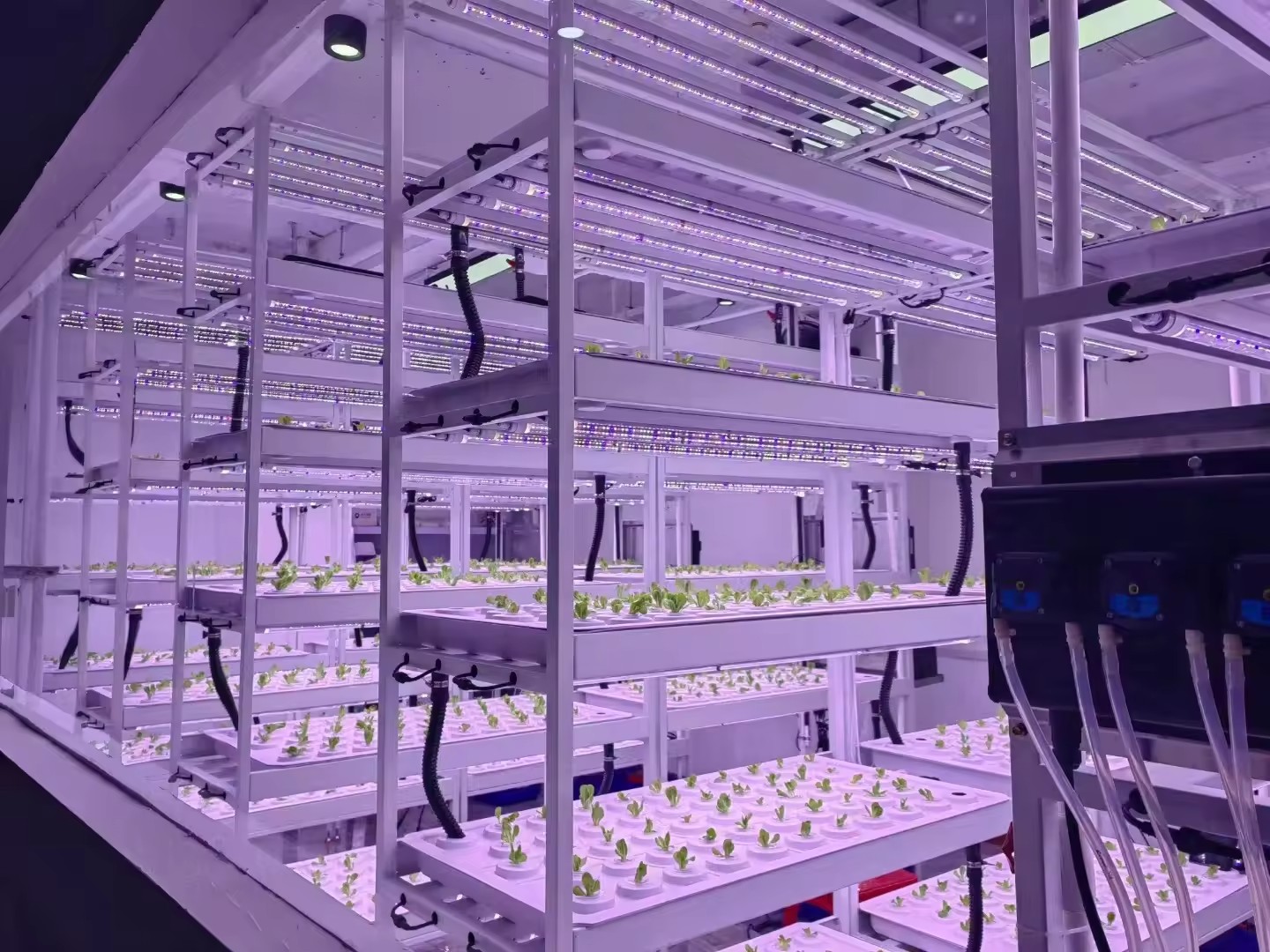 Vertical Farm Hydroponic Tower - Hydroponic Farming Agriculture reseña y precio