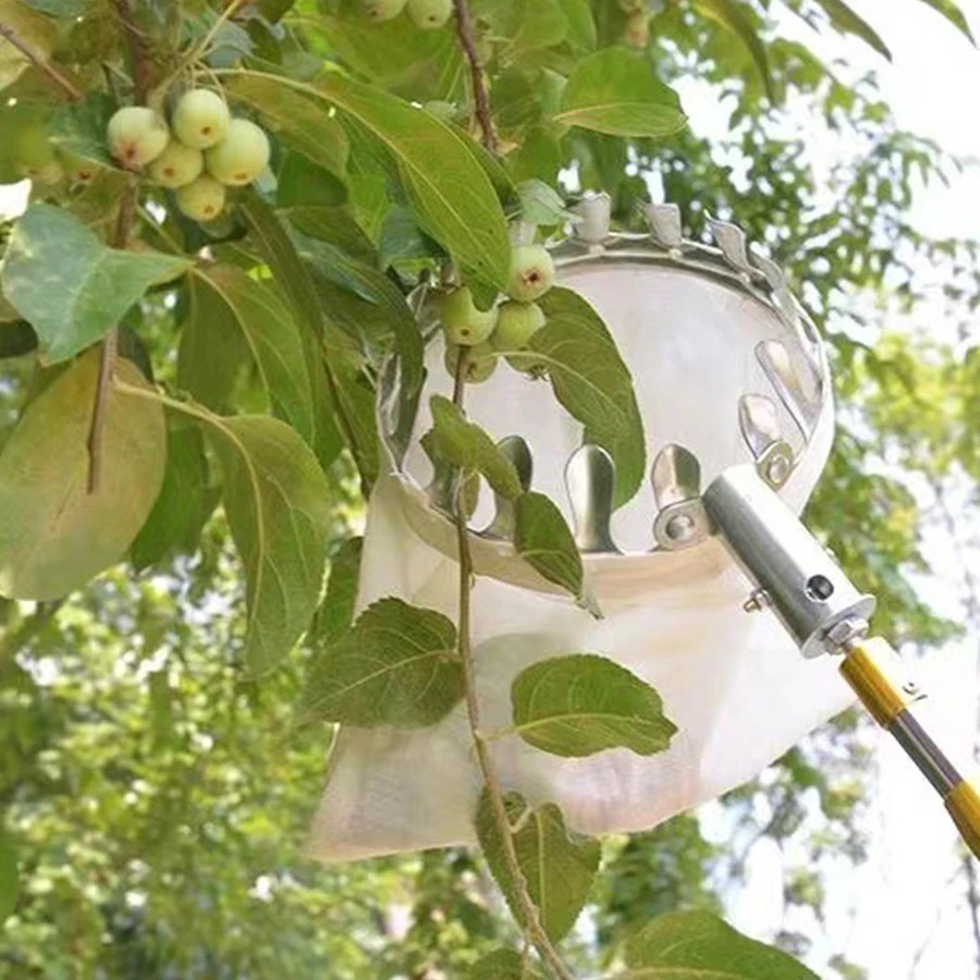 Professional Berry Picker Tool - Farming Farmer reseña y precio