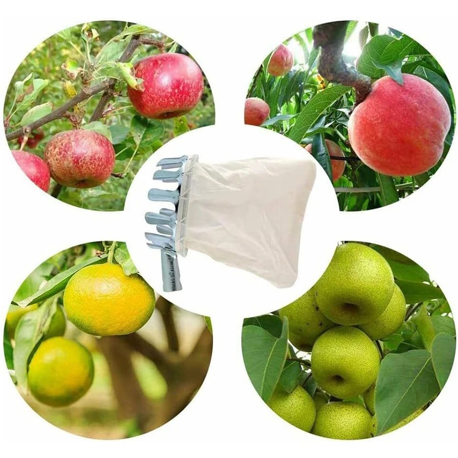 Professional Berry Picker Tool - Farming Farmer reseña y precio