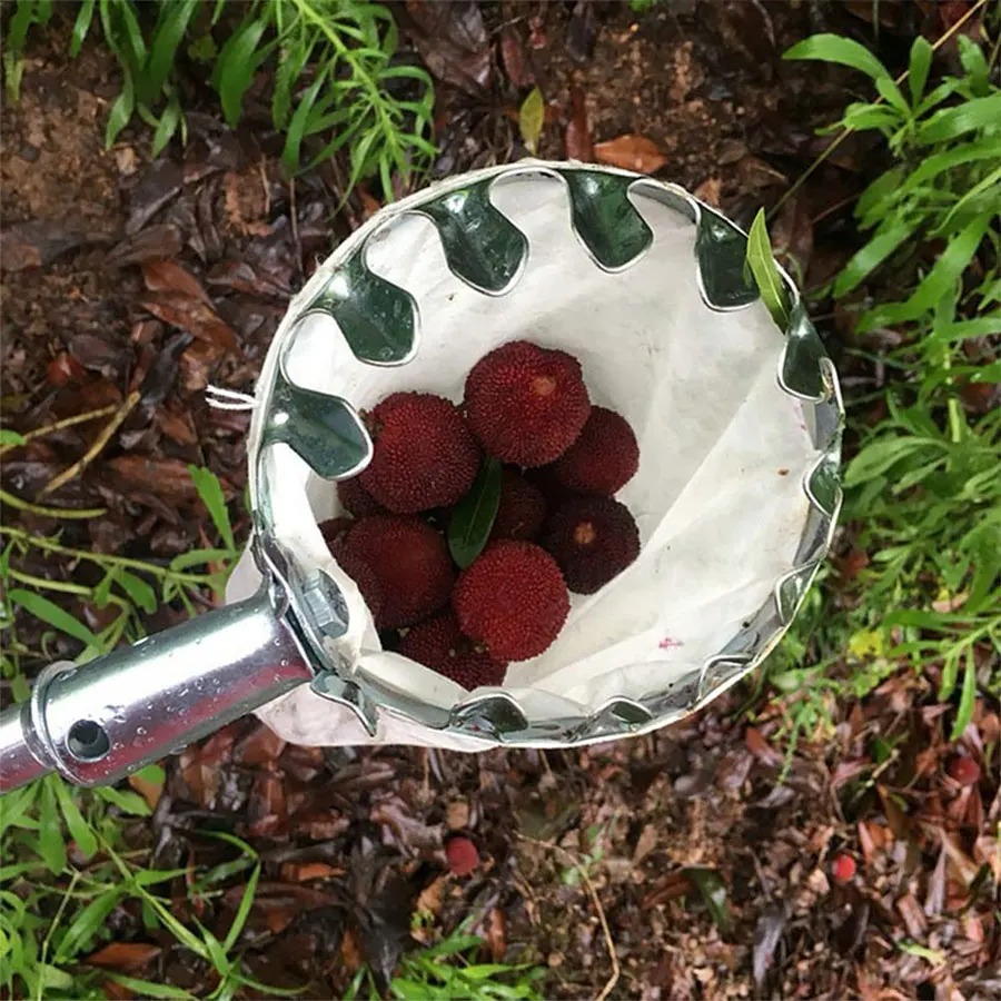 Professional Berry Picker Tool - Farming Farmer reseña y precio