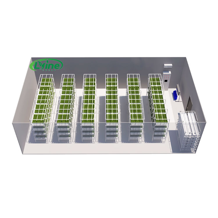 Agricultural Greenhouses Lettu - Hydroponic Farming Agriculture reseña y precio